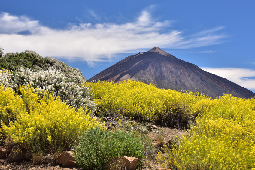 Volcan du Teide des îles Canaries en Espagne